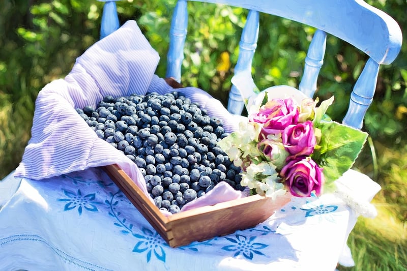 Handwoven Basket